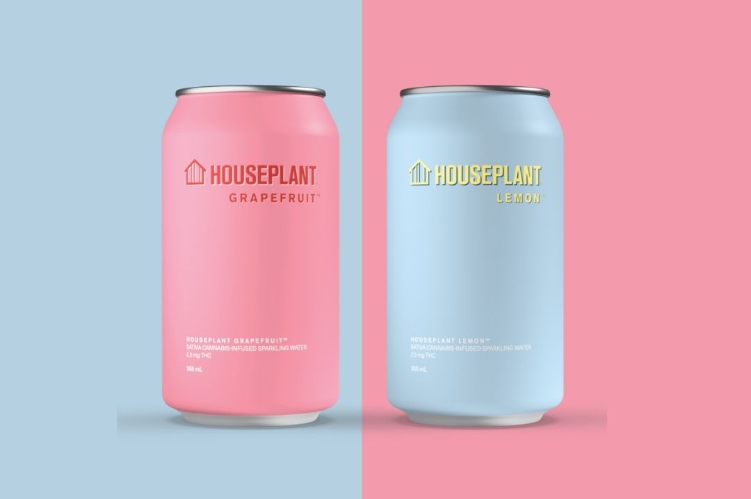 Houseplant Beverages