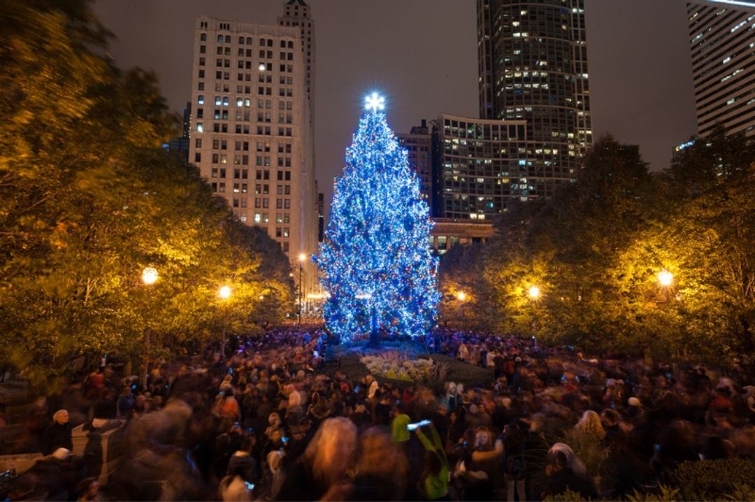 Chicago christmas tree