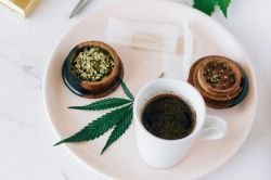 Photo for: CBD & THC Drinks to Try in Chicago